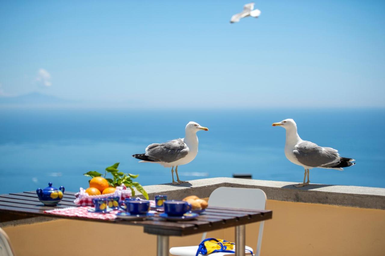 Casa Licia Apartman Positano Kültér fotó